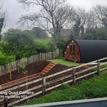 Ivy Hill Glamping Pod Ennis Exterior foto
