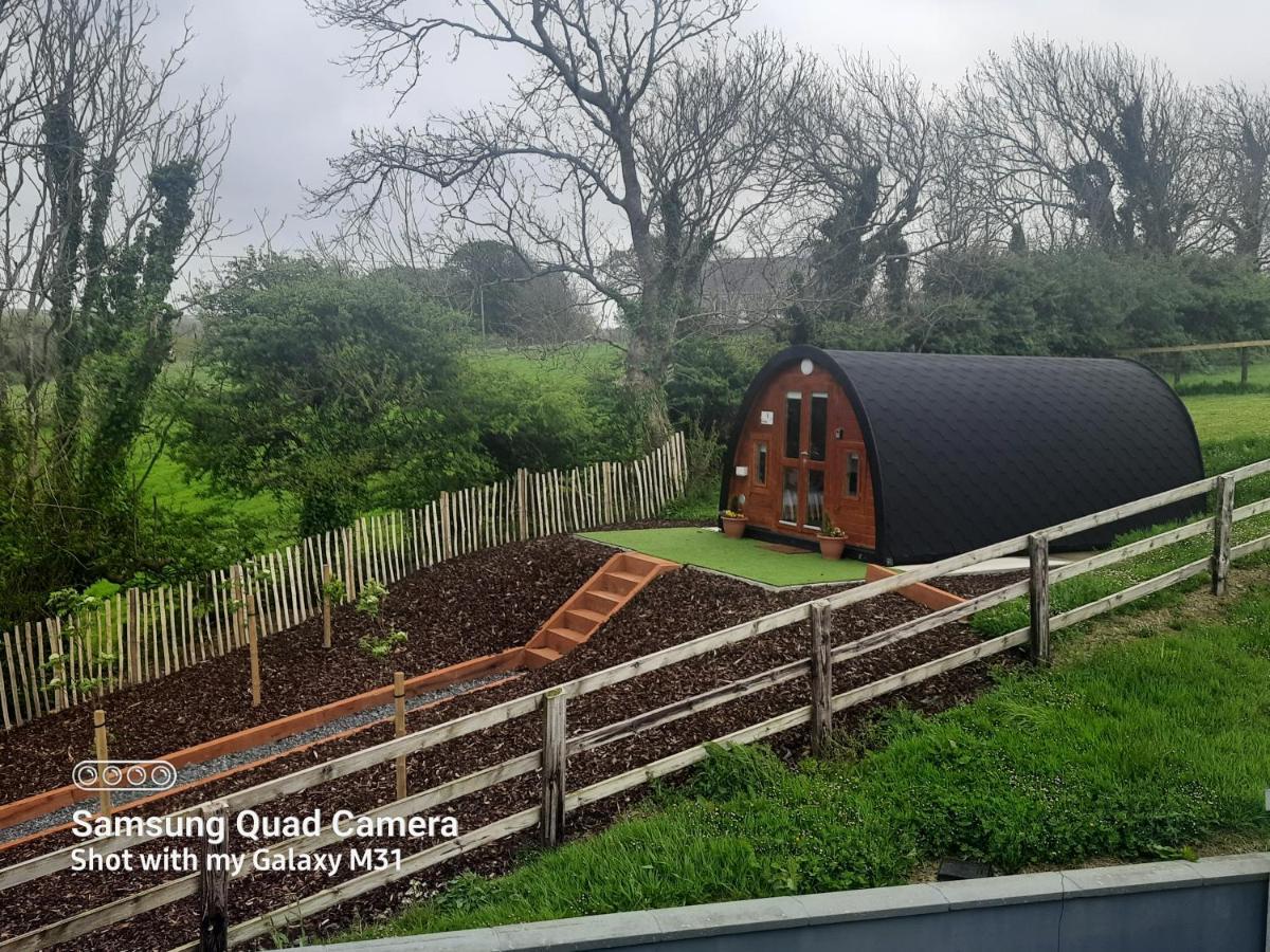 Ivy Hill Glamping Pod Ennis Exterior foto