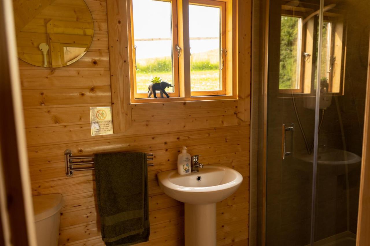 Ivy Hill Glamping Pod Ennis Exterior foto